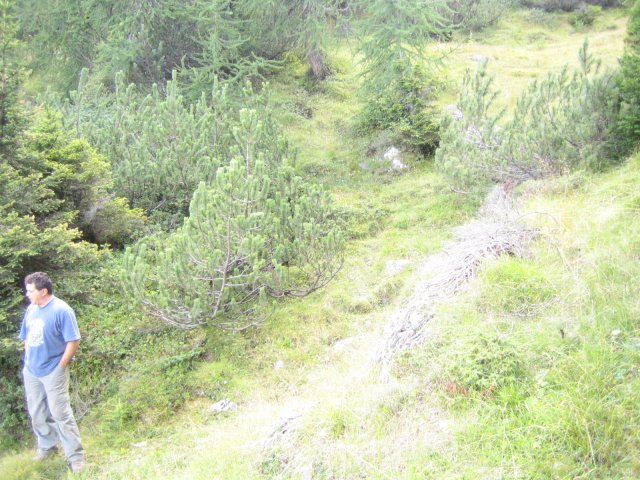 loverdina2007 021